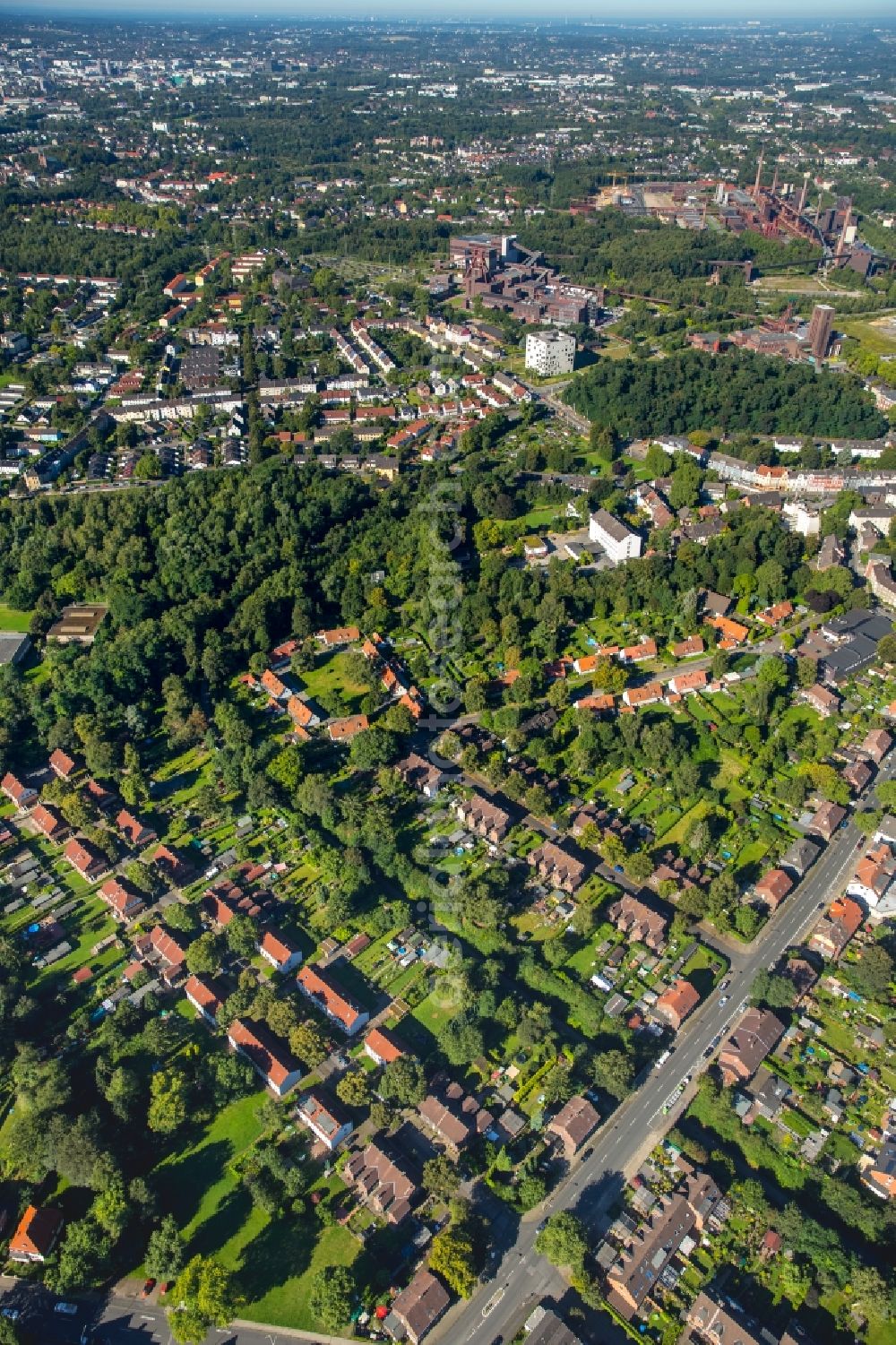 Essen from the bird's eye view: Residential area of a multi-family house settlement Zollverein III in Essen in the state North Rhine-Westphalia