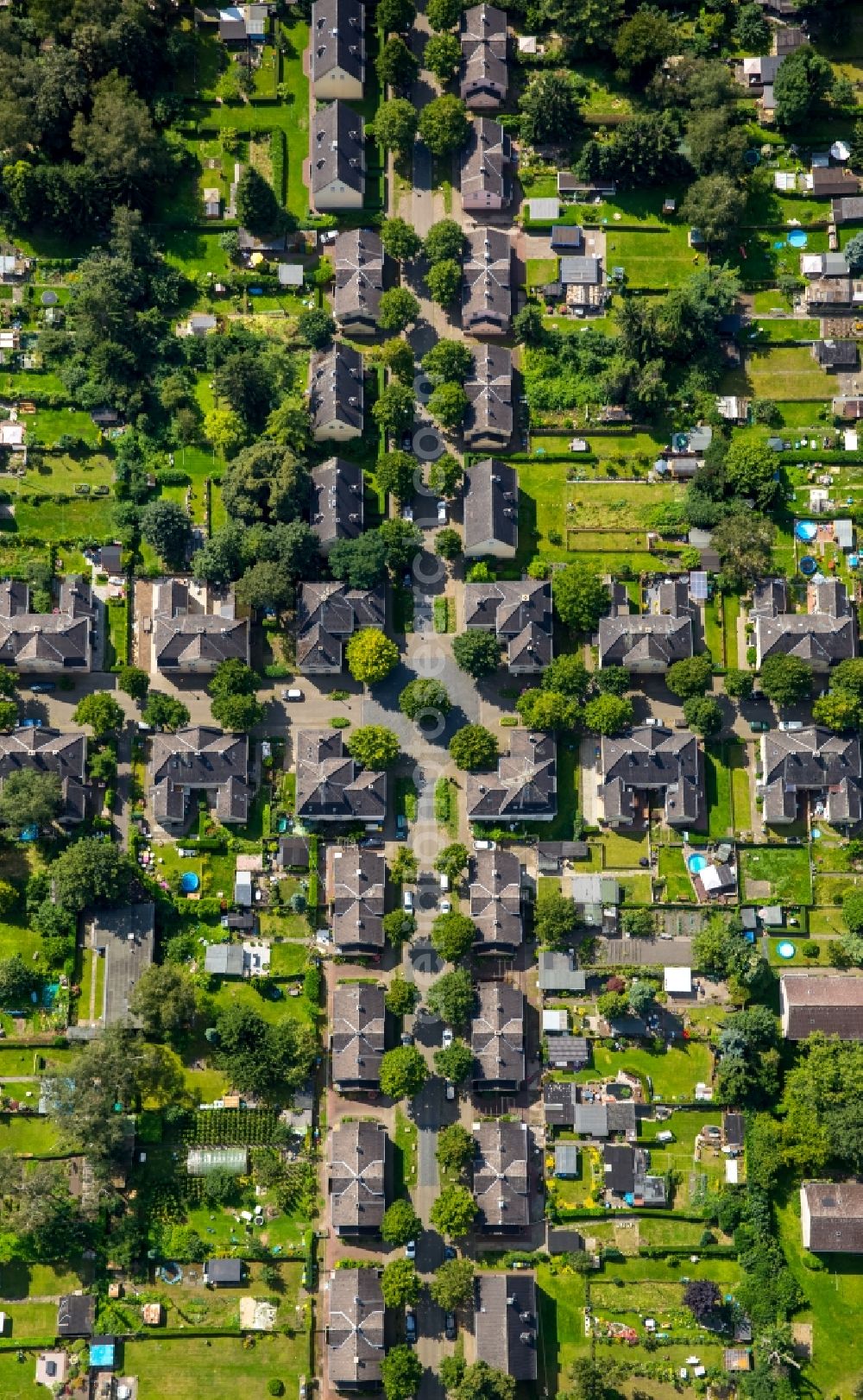 Gelsenkirchen from the bird's eye view: Residential area of a multi-family house settlement Floetz Dickebank in Gelsenkirchen in the state North Rhine-Westphalia