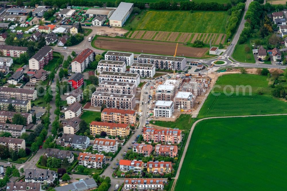 Emmendingen from the bird's eye view: Residential area of the multi-family house settlement Hauptstrasse Lerchacker in Emmendingen in the state Baden-Wurttemberg, Germany