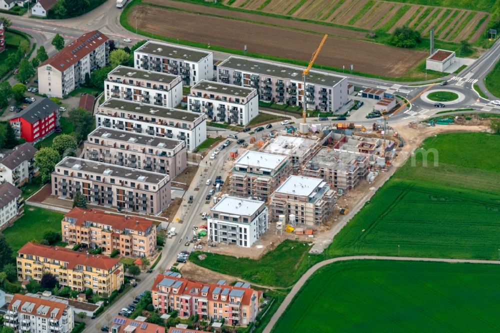 Aerial image Emmendingen - Residential area of the multi-family house settlement Hauptstrasse Lerchacker in Emmendingen in the state Baden-Wurttemberg, Germany