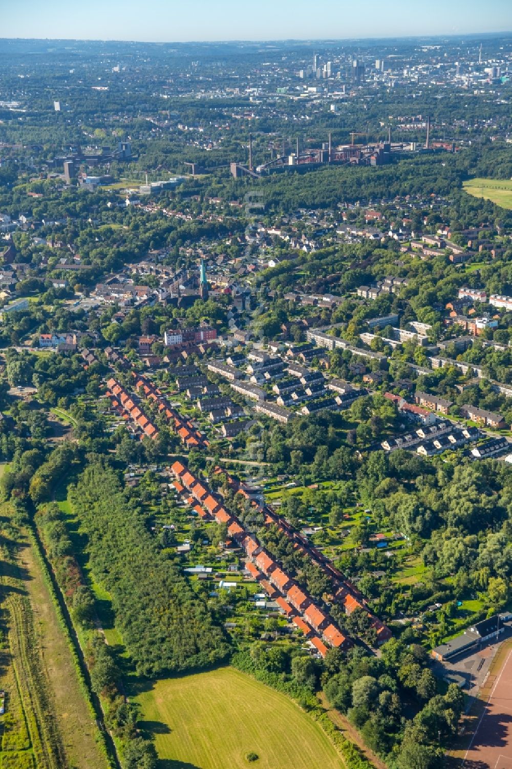 Essen from the bird's eye view: Residential area of a multi-family house settlement Hegemannshof in Essen in the state North Rhine-Westphalia