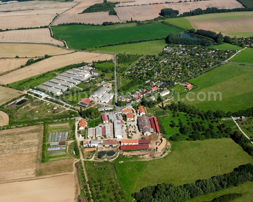 Mühlhausen/Thüringen from above - Residential area of the multi-family house settlement in Mühlhausen in the state Thuringia, Germany