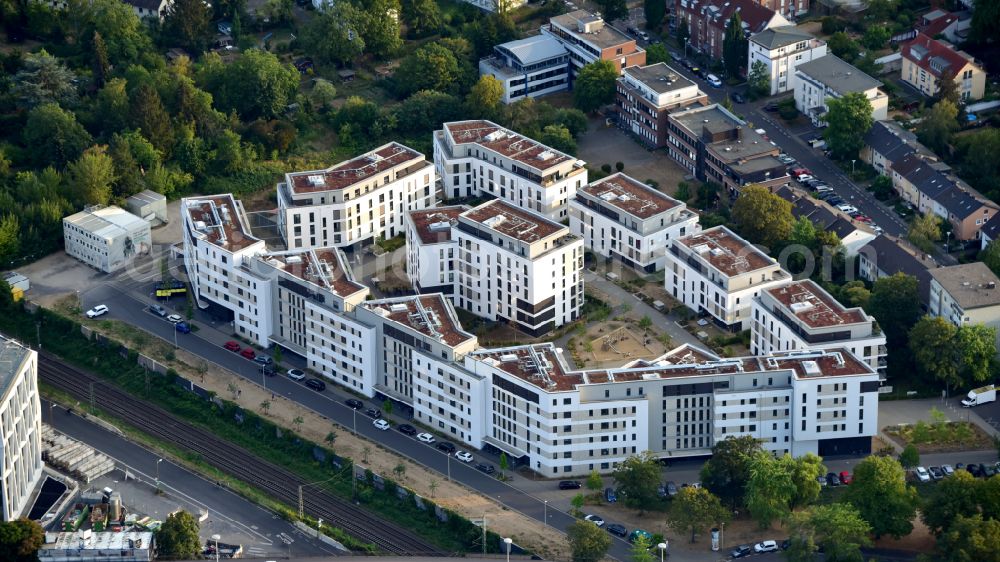 Bonn from the bird's eye view: Residential area of the multi-family house settlement along the Albert-Fischer-Strasse in the district Kessenich in Bonn in the state North Rhine-Westphalia, Germany