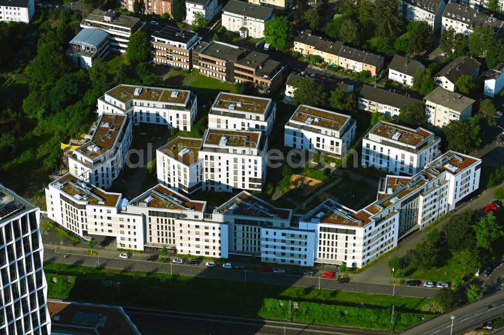 Aerial photograph Bonn - Residential area of the multi-family house settlement along the Albert-Fischer-Strasse in the district Kessenich in Bonn in the state North Rhine-Westphalia, Germany