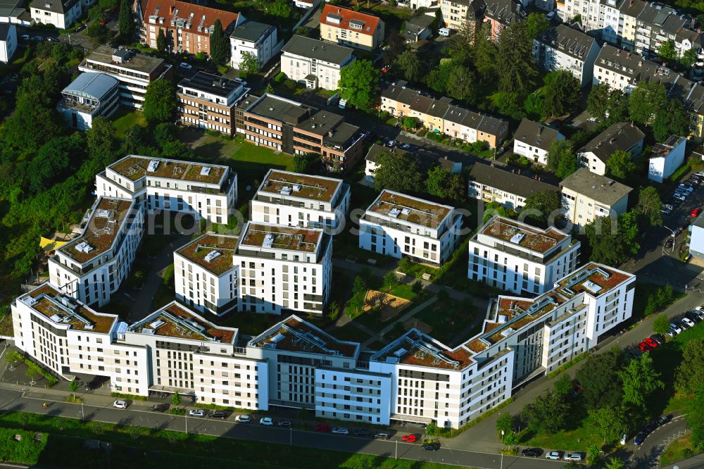 Bonn from above - Residential area of the multi-family house settlement along the Albert-Fischer-Strasse in the district Kessenich in Bonn in the state North Rhine-Westphalia, Germany