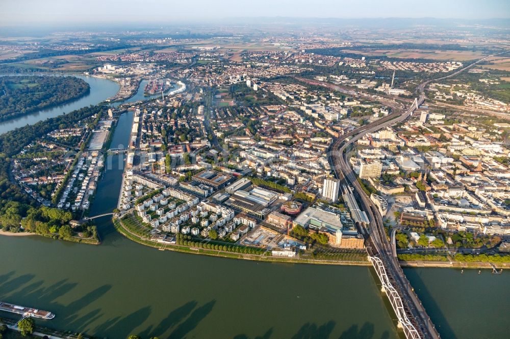 Ludwigshafen am Rhein from above - Residential area of the multi-family house settlement on Rheinpromenade - Rheinallee in Ludwigshafen am Rhein in the state Rhineland-Palatinate, Germany