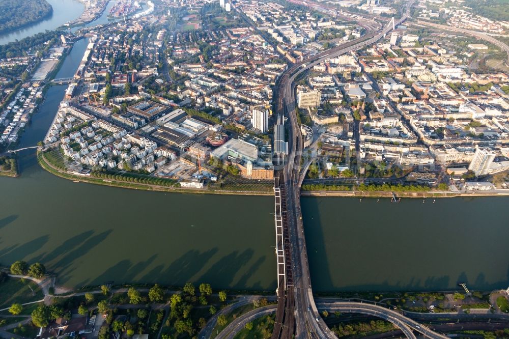 Ludwigshafen am Rhein from the bird's eye view: Residential area of the multi-family house settlement on Rheinpromenade - Rheinallee in Ludwigshafen am Rhein in the state Rhineland-Palatinate, Germany