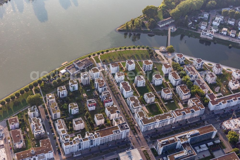 Ludwigshafen am Rhein from above - Residential area of the multi-family house settlement on Rheinpromenade - Rheinallee in Ludwigshafen am Rhein in the state Rhineland-Palatinate, Germany