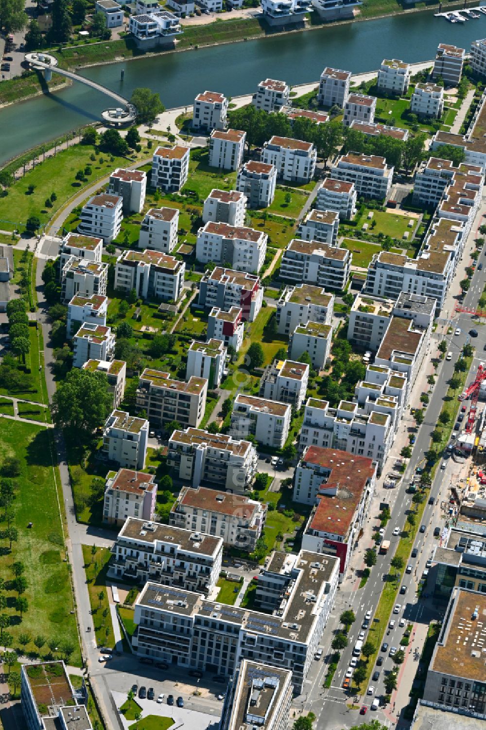 Aerial photograph Ludwigshafen am Rhein - Residential area of the multi-family house settlement on Rheinpromenade - Rheinallee in Ludwigshafen am Rhein in the state Rhineland-Palatinate, Germany