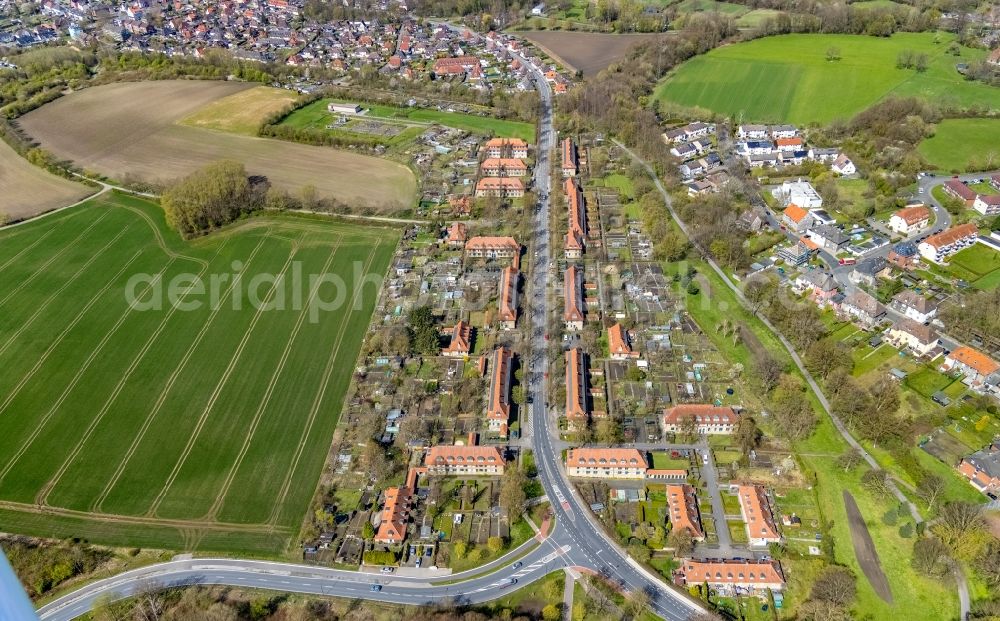 Hamm from above - Residential area of the multi-family house settlement Siedlung Vogelsang in Hamm at Ruhrgebiet in the state North Rhine-Westphalia