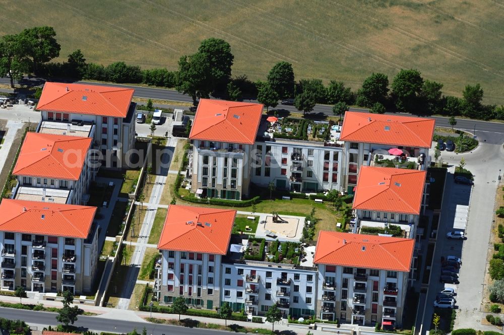 Wildau from above - Residential area of the multi-family house settlement on Rosenanger in Wildau in the state Brandenburg, Germany