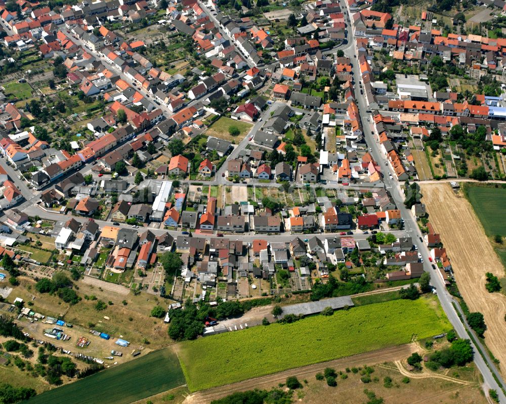 Oberhausen-Rheinhausen from the bird's eye view: Residential area - mixed development of a multi-family housing estate and single-family housing estate along the Adlerstrasse in the district Oberhausen in Oberhausen-Rheinhausen in the state Baden-Wuerttemberg, Germany