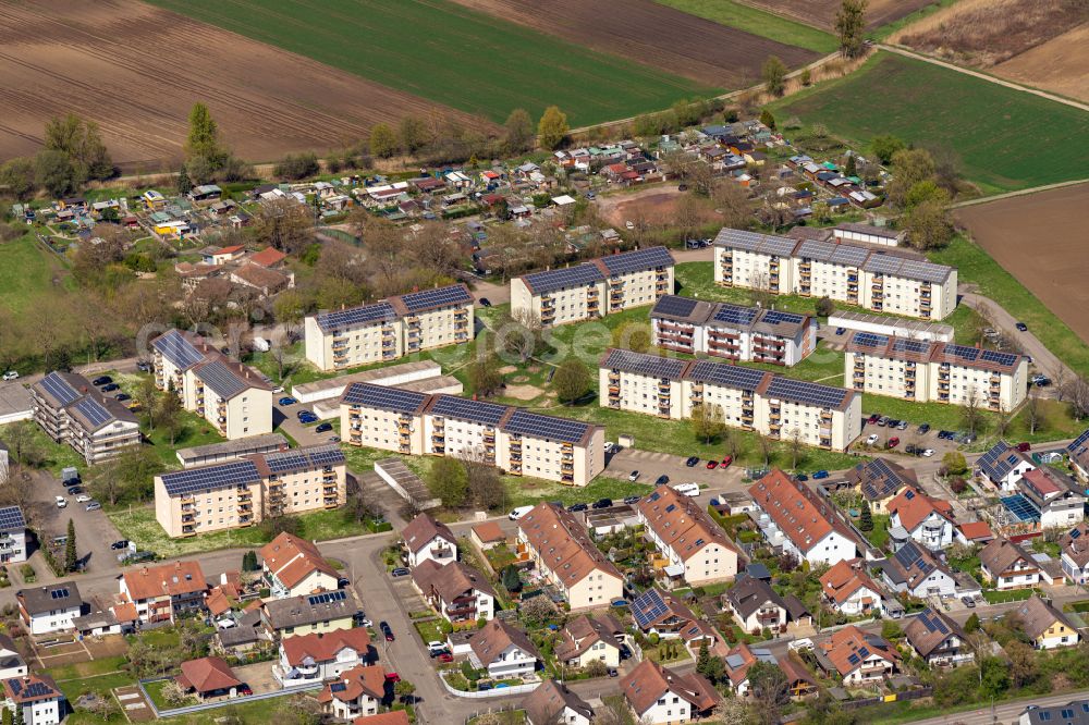 Kippenheimweiler from the bird's eye view: Residential area - mixed development of a multi-family housing estate and single-family housing estate in Kippenheimweiler in the state Baden-Wuerttemberg, Germany