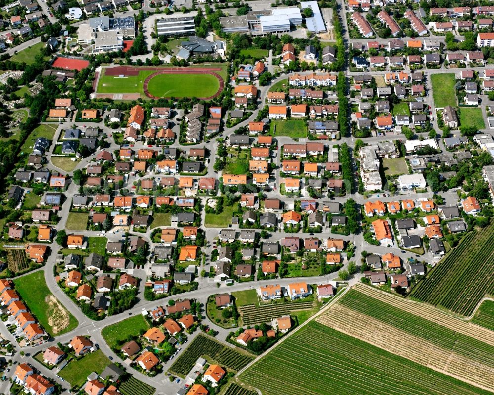 Aerial image Lauffen am Neckar - Residential area - mixed development of a multi-family housing estate and single-family housing estate in Lauffen am Neckar in the state Baden-Wuerttemberg, Germany