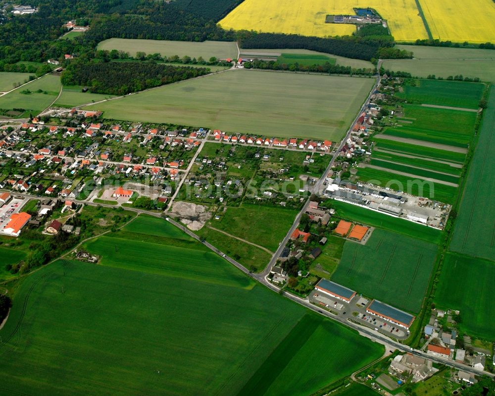 Oranienbaum from the bird's eye view: Residential area - mixed development of a multi-family housing estate and single-family housing estate in Oranienbaum in the state Saxony-Anhalt, Germany