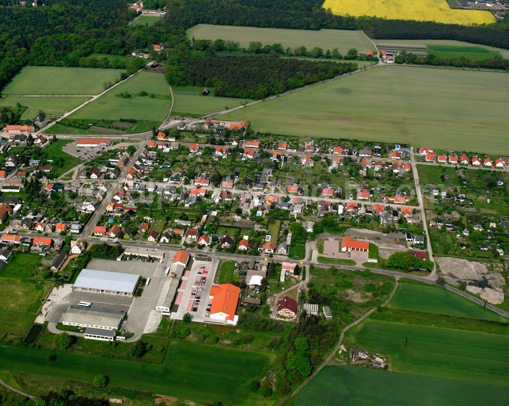 Aerial image Oranienbaum - Residential area - mixed development of a multi-family housing estate and single-family housing estate in Oranienbaum in the state Saxony-Anhalt, Germany