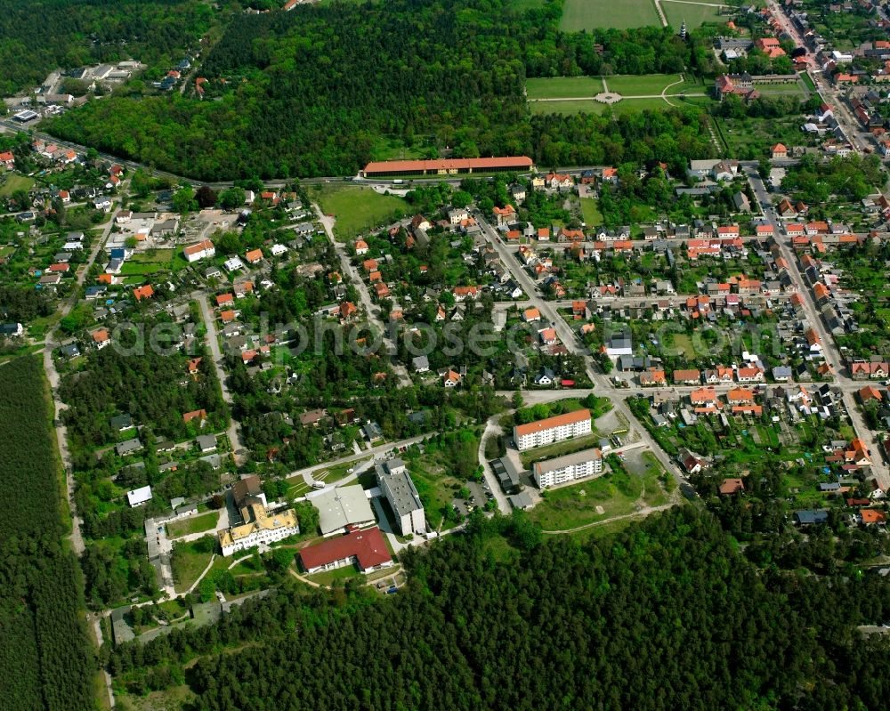 Oranienbaum from the bird's eye view: Residential area - mixed development of a multi-family housing estate and single-family housing estate in Oranienbaum in the state Saxony-Anhalt, Germany