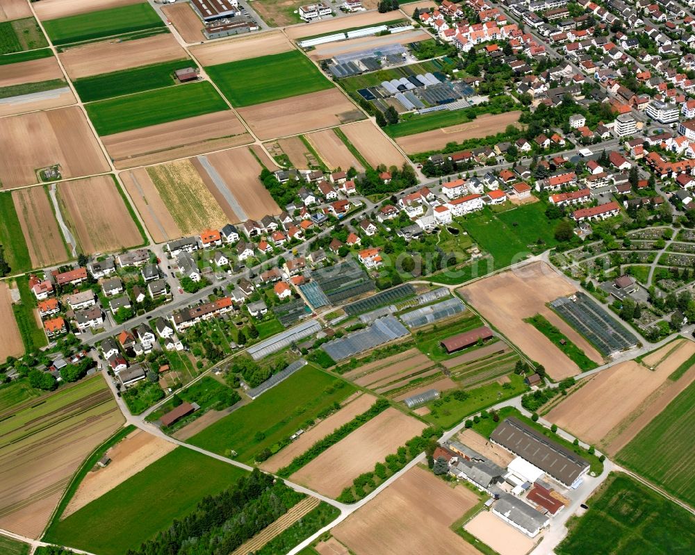 Rommelshausen from the bird's eye view: Residential area - mixed development of a multi-family housing estate and single-family housing estate in Rommelshausen in the state Baden-Wuerttemberg, Germany