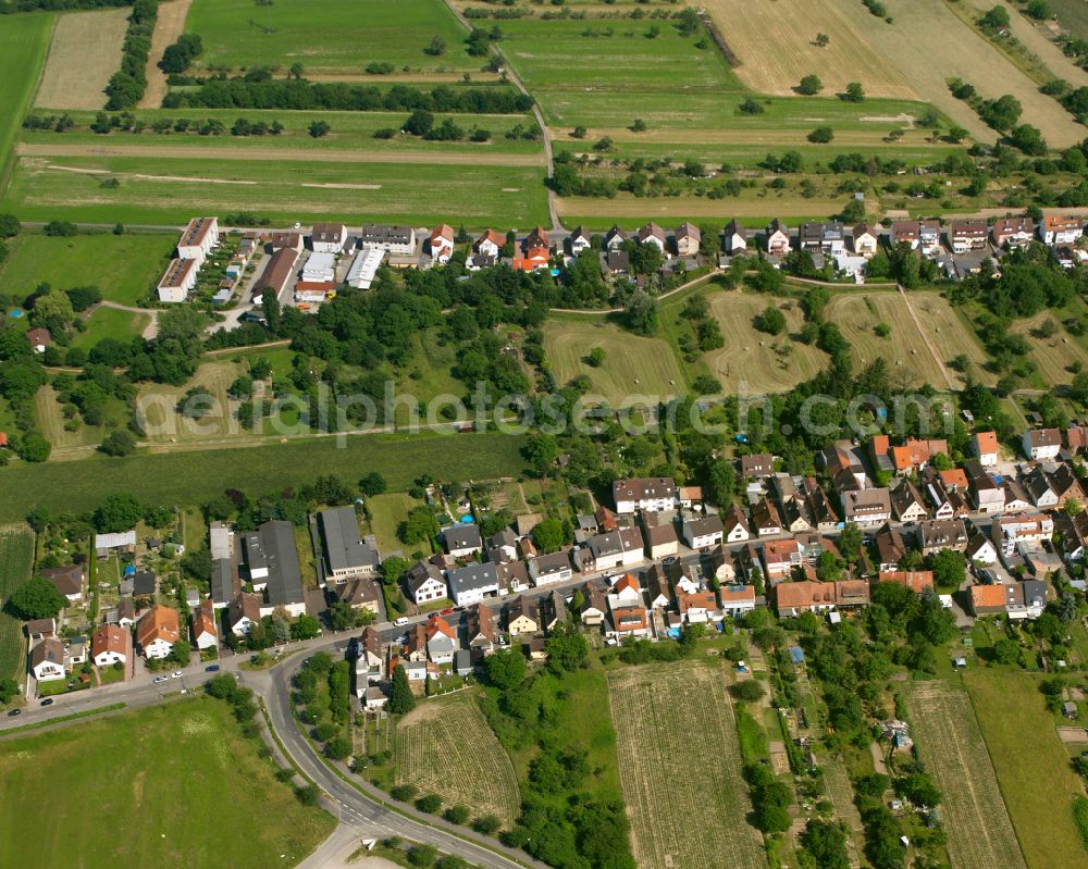 Karlsruhe from the bird's eye view: Residential area - mixed development of a multi-family housing estate and single-family housing estate on Vokkenauer Strasse and Schwetzinger Strasse in the district Hagsfeld in Karlsruhe in the state Baden-Wuerttemberg, Germany