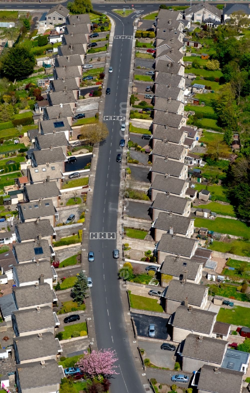 Aerial image Limerick - Residential area a row house settlement Ashbrook in Limerick, Ireland
