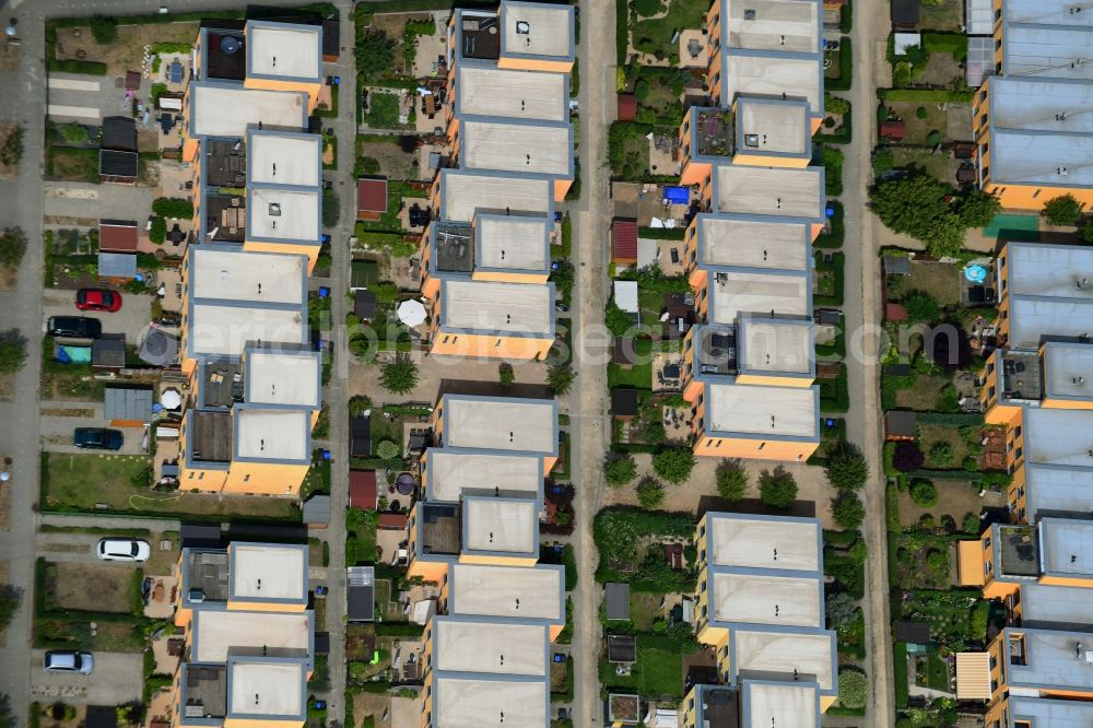 Berlin from the bird's eye view: Residential area a row house settlement Augenfalterstrasse - Eisfalterweg - Distelfalterweg in the district Biesdorf in Berlin, Germany