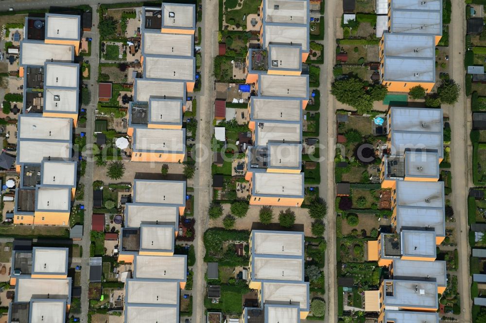 Aerial image Berlin - Residential area a row house settlement Augenfalterstrasse - Eisfalterweg - Distelfalterweg in the district Biesdorf in Berlin, Germany