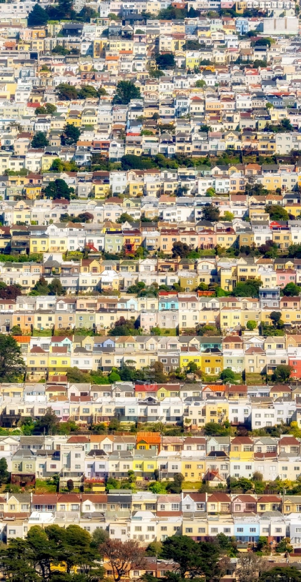 Aerial photograph San Francisco - Residential area a row house settlement Outer Richond and Balboa Street, Cabrillo Street and Fulton Street in San Francisco in California, USA