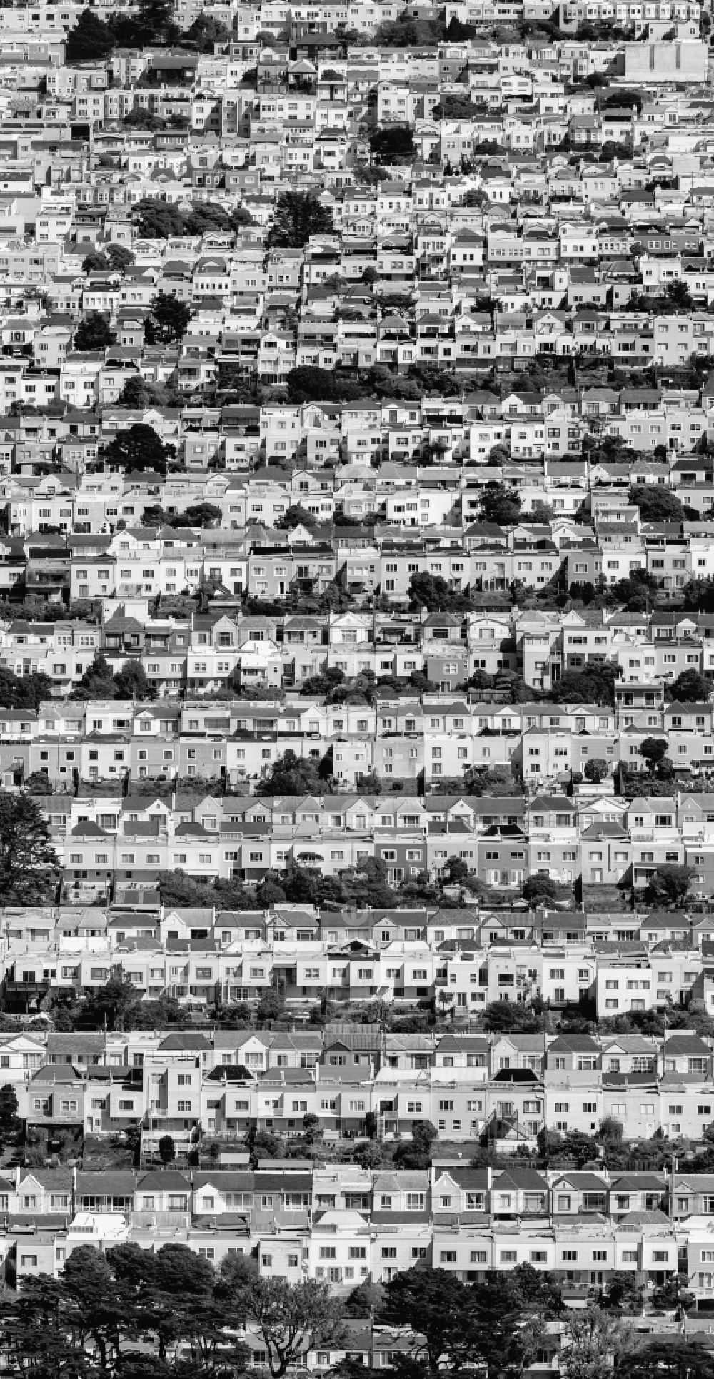 San Francisco from above - Residential area a row house settlement Outer Richond and Balboa Street, Cabrillo Street and Fulton Street in San Francisco in California, USA