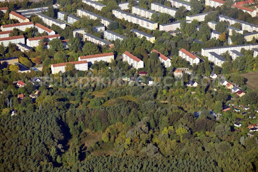 Berlin from the bird's eye view: View of a residential area between Dregerhoffstrasse and Lienhardweg with green space of the Koepenick city forest in Berlin. The houses are located near the banks of the river Dahme