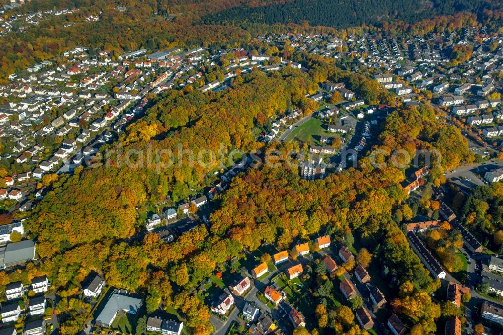 Neheim from the bird's eye view: Residential area in and around the autumnal forest on Engelbertstrasse in Neheim in the state of North Rhine-Westphalia