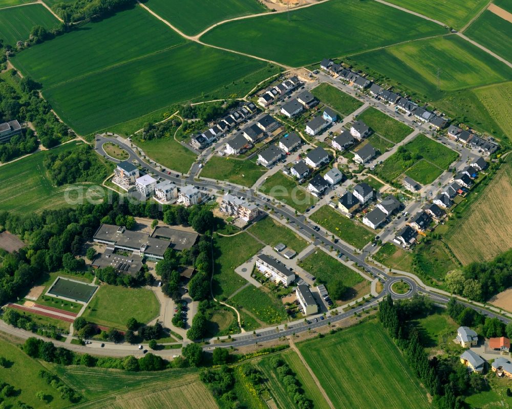 Neuwied from above - Settlement in Neuwied in the state Rhineland-Palatinate