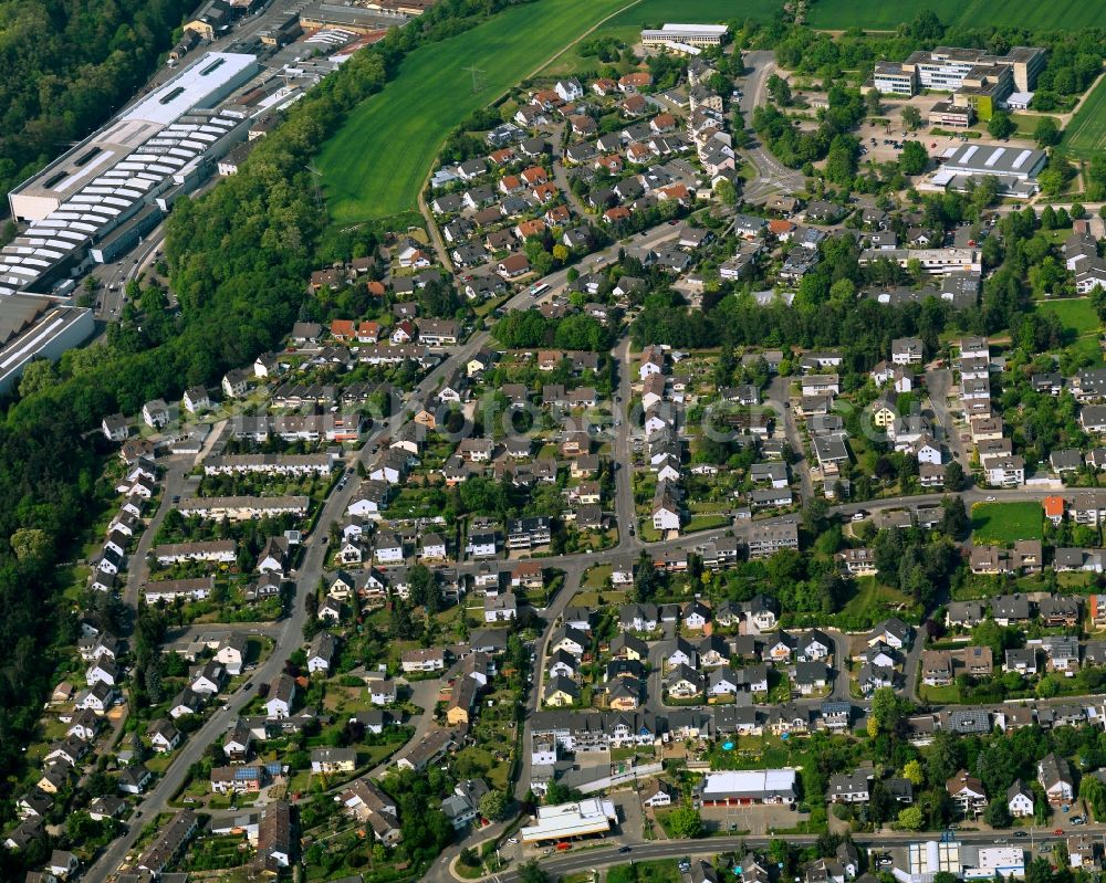 Neuwied from above - Settlement in Neuwied in the state Rhineland-Palatinate