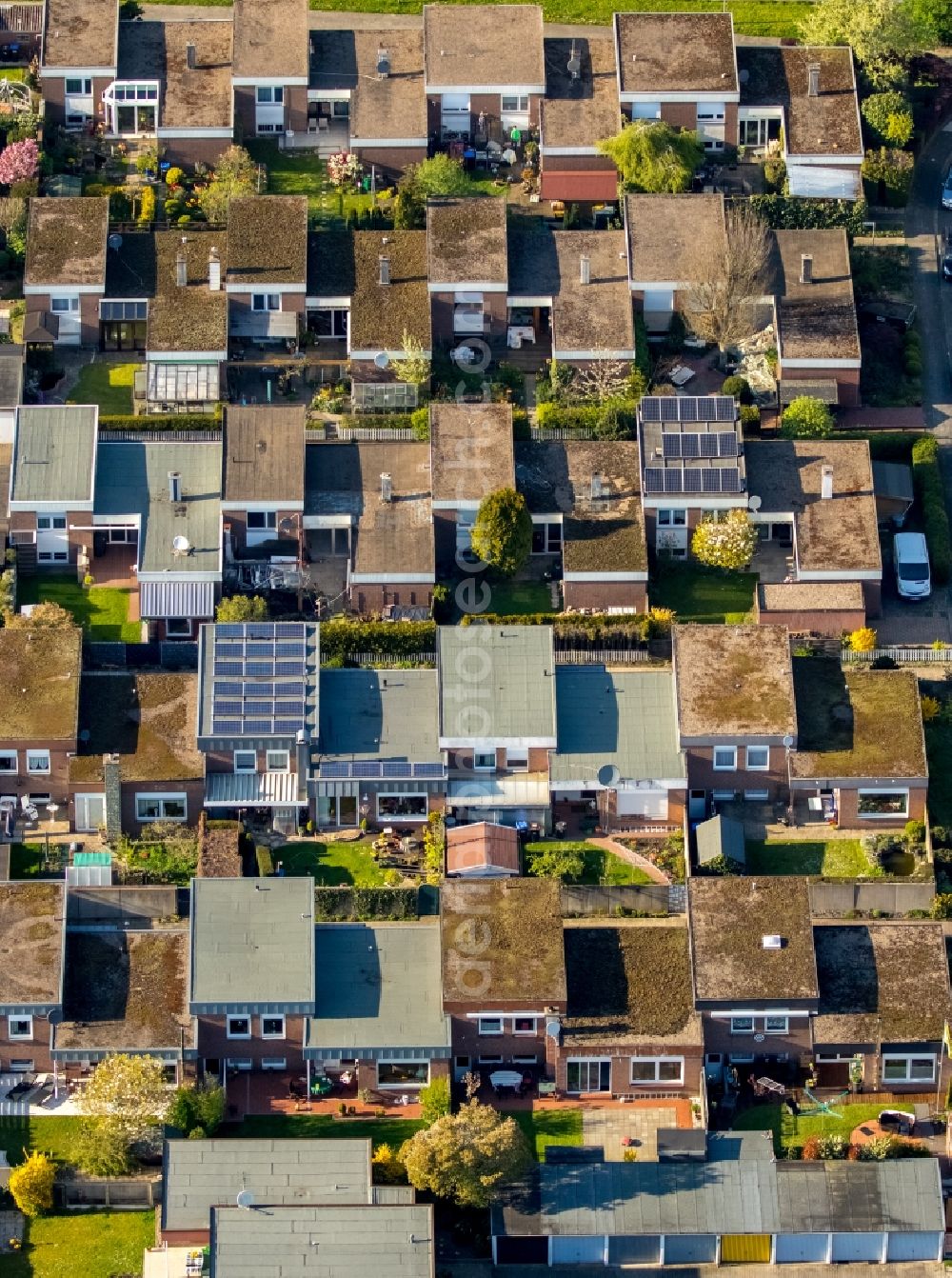 Hamm from above - Residential area between Nelkenstrasse and Anemomenweg in the Heessen district of Hamm in the state of North Rhine-Westphalia