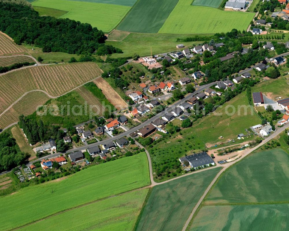 Meddersheim from the bird's eye view: View of residential houses in Meddersheim in the state Rhineland-Palatinate