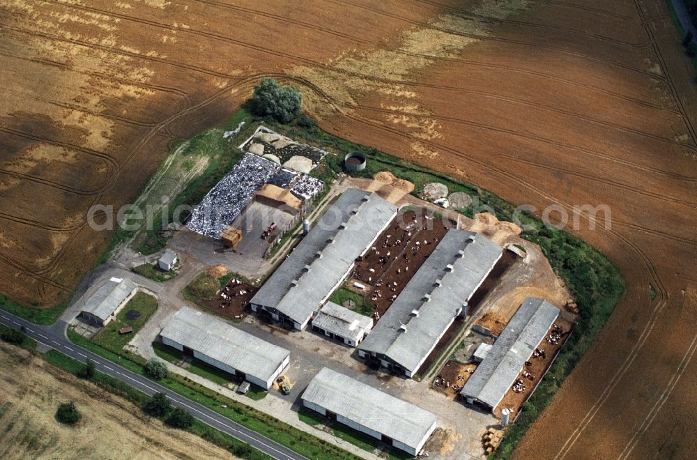 Aerial photograph Seelow - Animal breeding facility in Seelow, in the state of Brandenburg