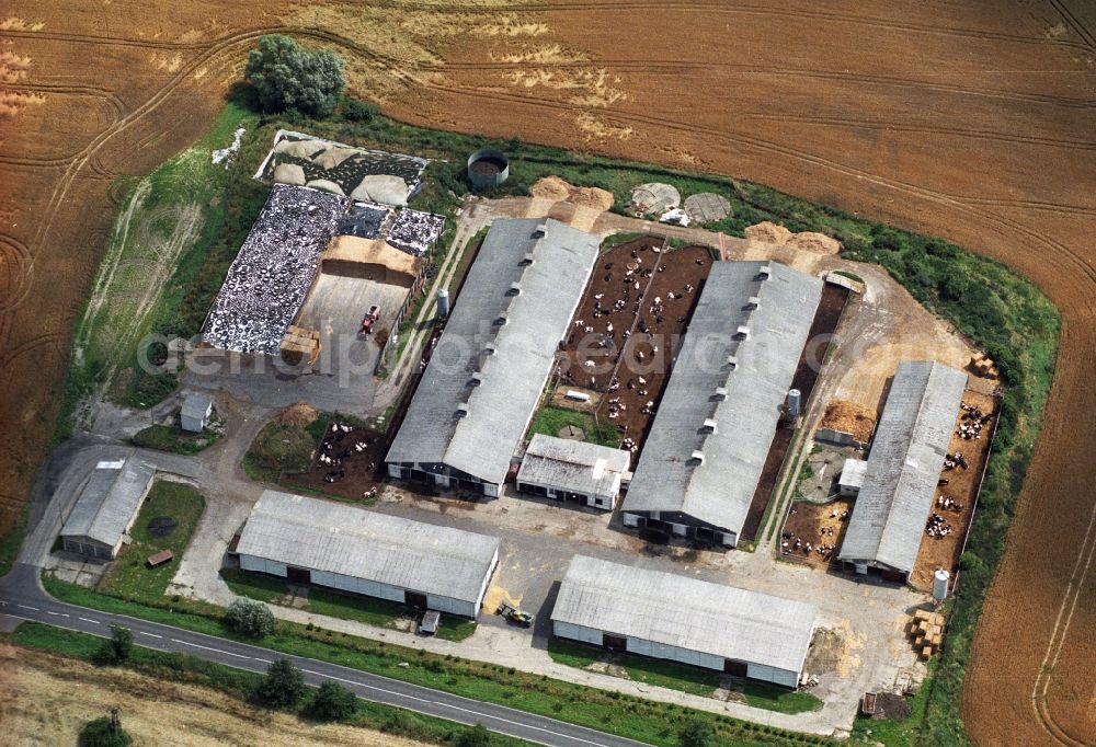 Seelow from the bird's eye view: Animal breeding facility in Seelow, in the state of Brandenburg