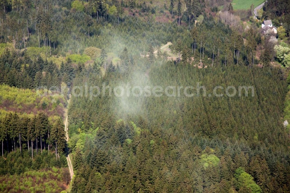 Beltheim from the bird's eye view: Clouds of pollen over treetops in a wooded area at Beltheim in the state Rhineland-Palatinate, Germany