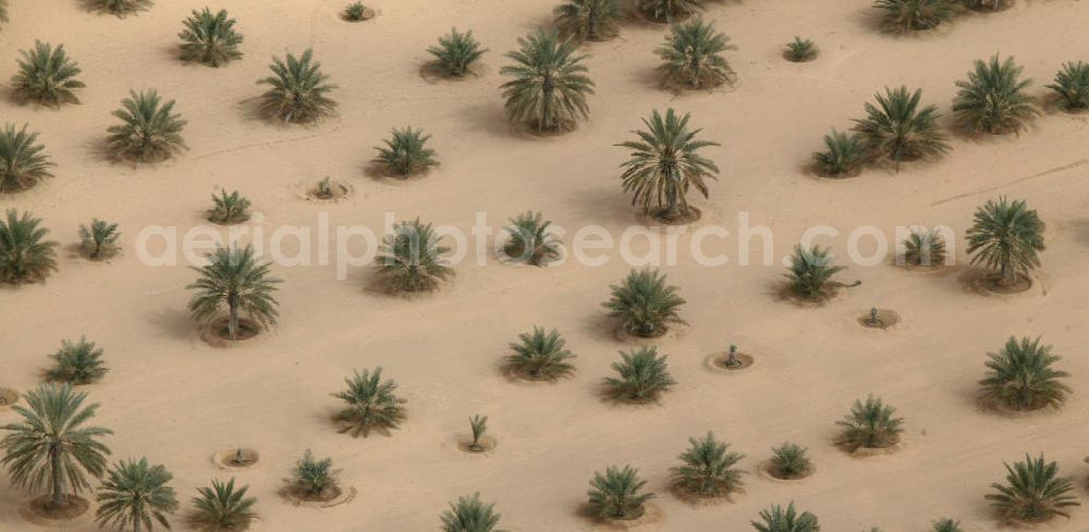 Aerial photograph Dubai - Wüste zwischen Dubai und Al-Ain. Dubai und Al-Ain sind durch die Autobahn E66 verbunden. Die beiden Städte sind 105 km entfernt. AE, United Arab Emirates, Dubai: expressway / freeway through the desert between Dubai and Al-Ain.