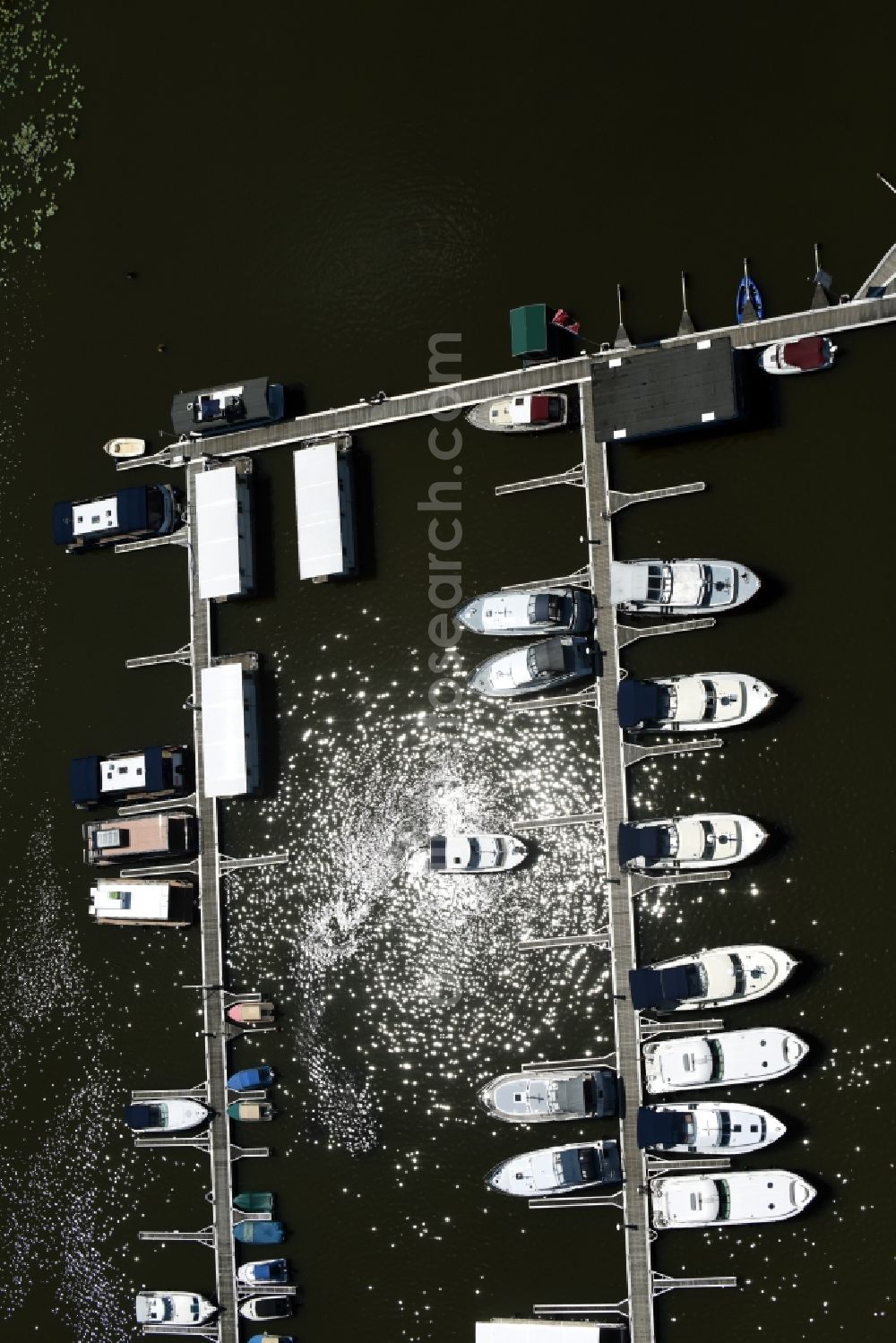 Buchholz from the bird's eye view: Pleasure boat and houseboot- marina with docks and moorings of marina Mueritzsee on the shore area of lake Mueritz in Buchholz in the state Mecklenburg - Western Pomerania