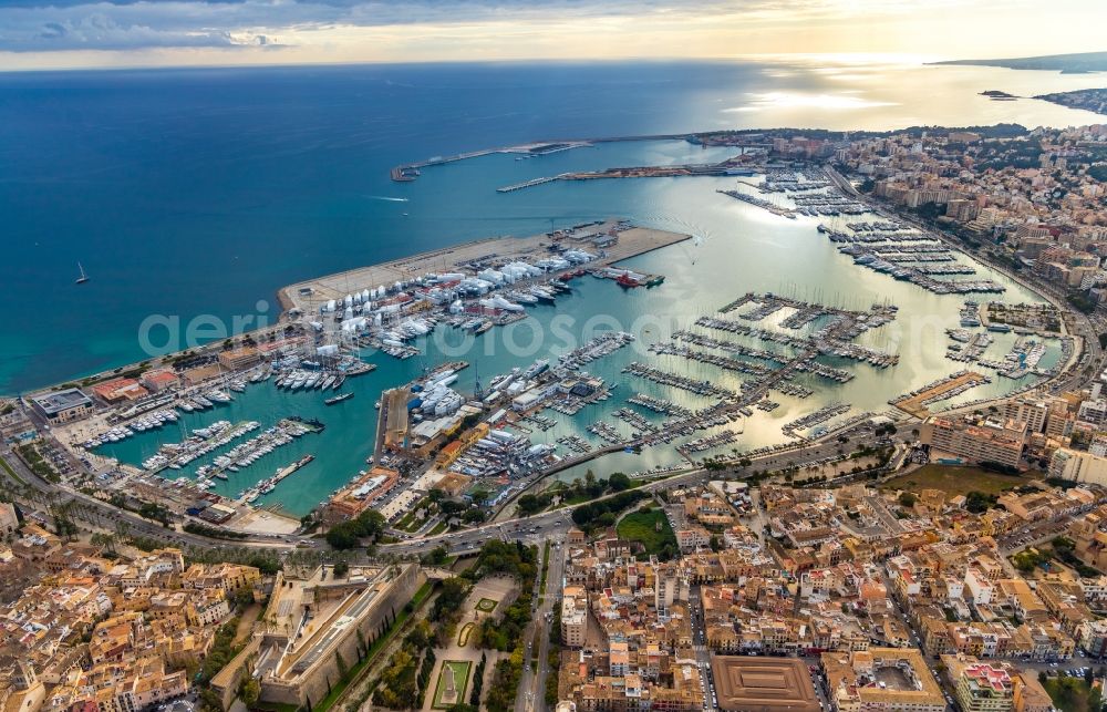 Palma from above - Pleasure boat marina with docks and moorings on the shore area Port de Palma in Palma in Balearische Insel Mallorca, Spain