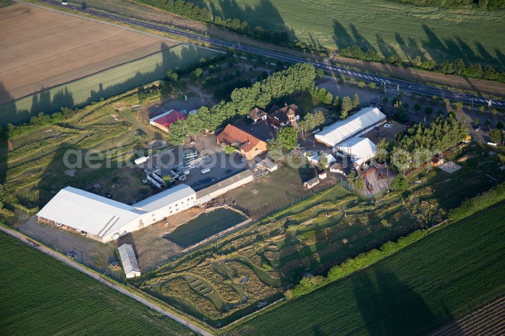 Aerial photograph Kandel - Tent of open-air restaurant Adamshof and foot golf area Kandel in Kandel in the state Rhineland-Palatinate, Germany