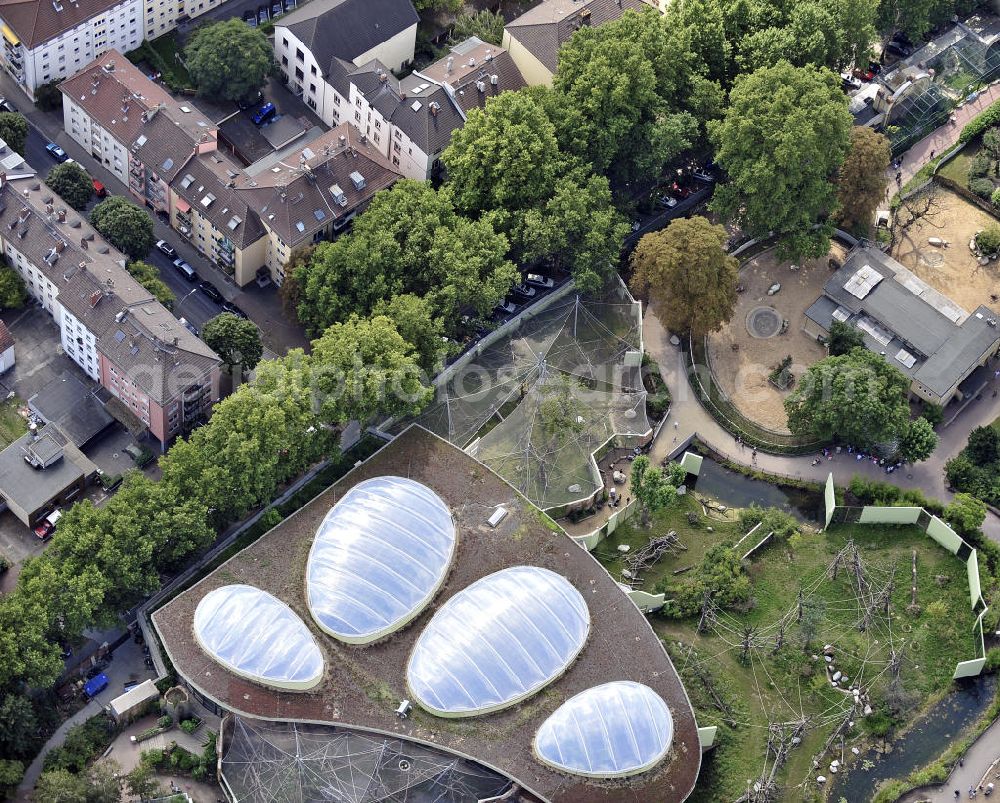 Frankfurt am Main from above - Blick auf die Innen- und Freianlagen der Menschenaffen im Frankfurter Zoo. Der Zoo wurde 1858 eröffnet und ist damit der zweitälteste Tierpark Deutschlands. View of the interior and outdoor areas of the great apes in the Frankfurt Zoo. The zoo was opened in 1858 and is the second oldest zoo in Germany.