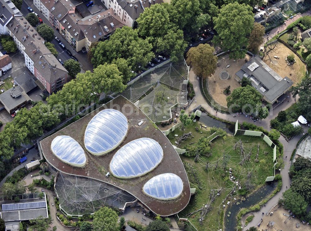 Frankfurt am Main from the bird's eye view: Blick auf die Innen- und Freianlagen der Menschenaffen im Frankfurter Zoo. Der Zoo wurde 1858 eröffnet und ist damit der zweitälteste Tierpark Deutschlands. View of the interior and outdoor areas of the great apes in the Frankfurt Zoo. The zoo was opened in 1858 and is the second oldest zoo in Germany.