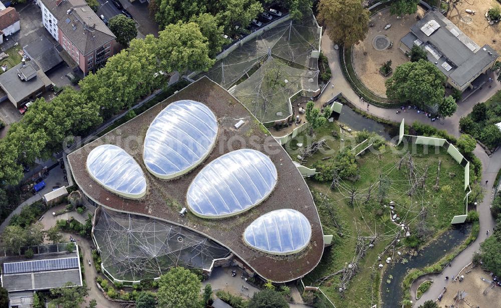 Aerial image Frankfurt am Main - Blick auf die Innen- und Freianlagen der Menschenaffen im Frankfurter Zoo. Der Zoo wurde 1858 eröffnet und ist damit der zweitälteste Tierpark Deutschlands. View of the interior and outdoor areas of the great apes in the Frankfurt Zoo. The zoo was opened in 1858 and is the second oldest zoo in Germany.