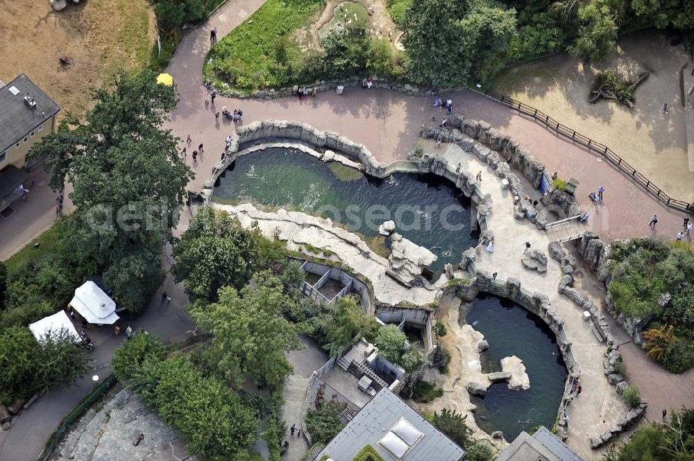 Aerial photograph Frankfurt am Main - Blick auf die Robbenklippen für Seehunde und Zwergseebären im Frankfurter Zoo. Der Zoo wurde 1858 eröffnet und ist damit der zweitälteste Tierpark Deutschlands. View of the cliffs for sea lions and seals in the Frankfurt Zoo. The zoo was opened in 1858 and is the second oldest zoo in Germany.