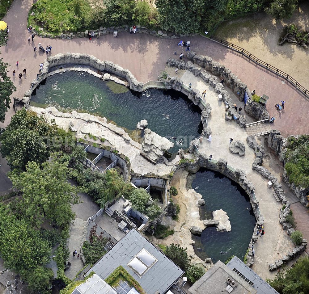 Frankfurt am Main from above - Blick auf die Robbenklippen für Seehunde und Zwergseebären im Frankfurter Zoo. Der Zoo wurde 1858 eröffnet und ist damit der zweitälteste Tierpark Deutschlands. View of the cliffs for sea lions and seals in the Frankfurt Zoo. The zoo was opened in 1858 and is the second oldest zoo in Germany.