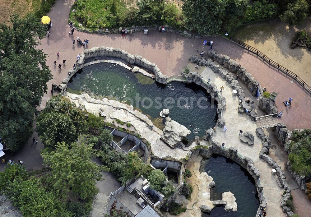 Frankfurt am Main from the bird's eye view: Blick auf die Robbenklippen für Seehunde und Zwergseebären im Frankfurter Zoo. Der Zoo wurde 1858 eröffnet und ist damit der zweitälteste Tierpark Deutschlands. View of the cliffs for sea lions and seals in the Frankfurt Zoo. The zoo was opened in 1858 and is the second oldest zoo in Germany.