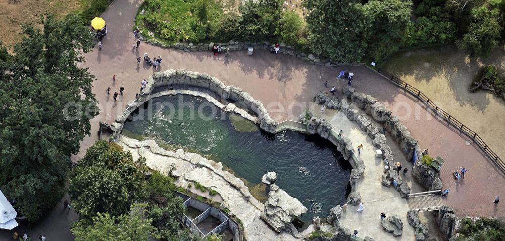 Aerial image Frankfurt am Main - Blick auf die Robbenklippen für Seehunde und Zwergseebären im Frankfurter Zoo. Der Zoo wurde 1858 eröffnet und ist damit der zweitälteste Tierpark Deutschlands. View of the cliffs for sea lions and seals in the Frankfurt Zoo. The zoo was opened in 1858 and is the second oldest zoo in Germany.