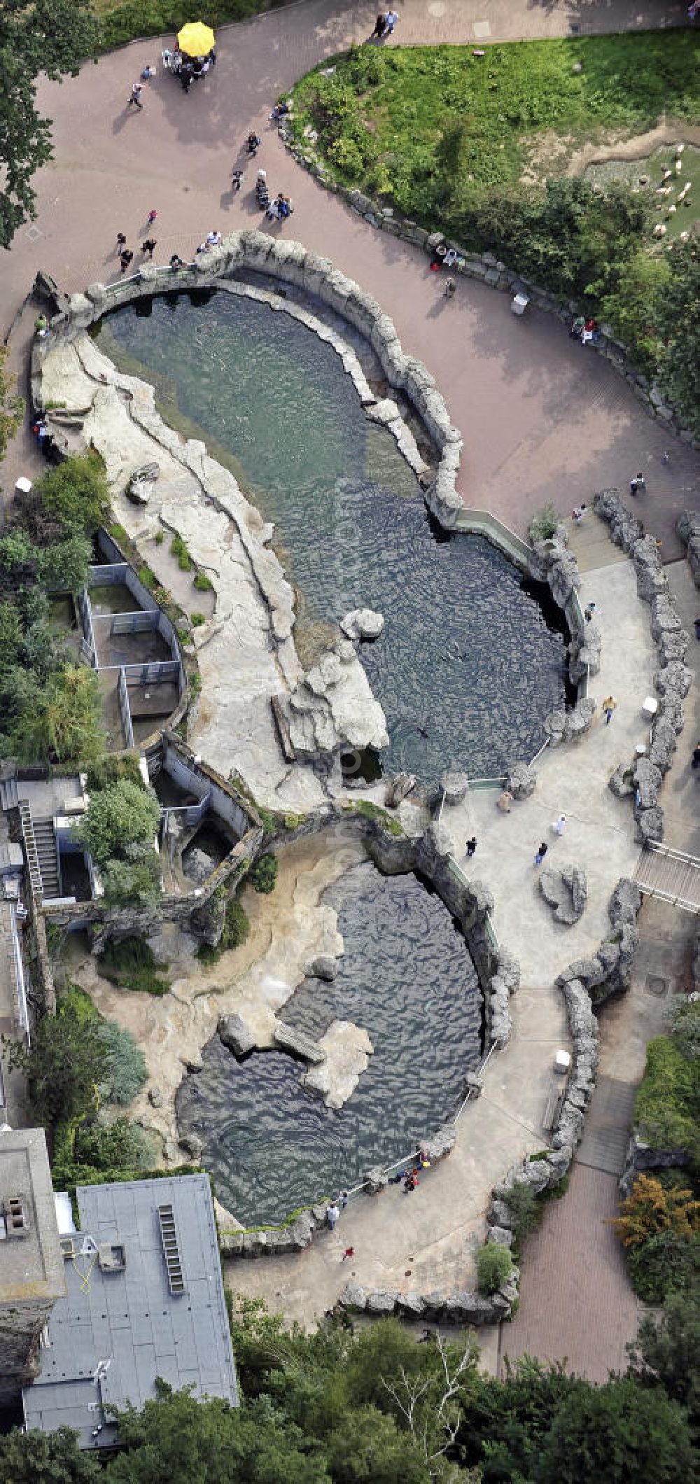 Aerial photograph Frankfurt am Main - Blick auf die Robbenklippen für Seehunde und Zwergseebären im Frankfurter Zoo. Der Zoo wurde 1858 eröffnet und ist damit der zweitälteste Tierpark Deutschlands. View of the cliffs for sea lions and seals in the Frankfurt Zoo. The zoo was opened in 1858 and is the second oldest zoo in Germany.