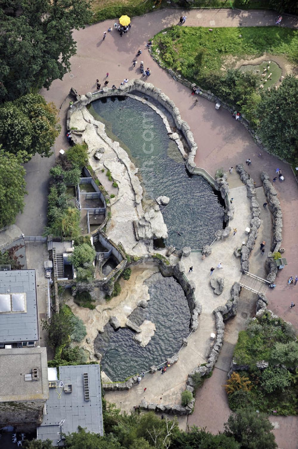 Frankfurt am Main from above - Blick auf die Robbenklippen für Seehunde und Zwergseebären im Frankfurter Zoo. Der Zoo wurde 1858 eröffnet und ist damit der zweitälteste Tierpark Deutschlands. View of the cliffs for sea lions and seals in the Frankfurt Zoo. The zoo was opened in 1858 and is the second oldest zoo in Germany.